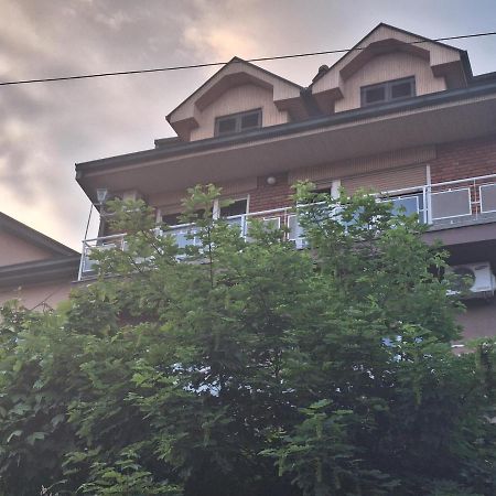 Danica I Vuk Apartment Ni Exterior foto