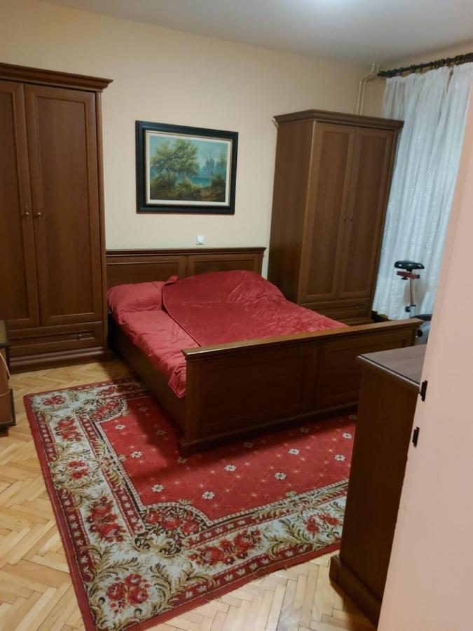 Danica I Vuk Apartment Ni Exterior foto