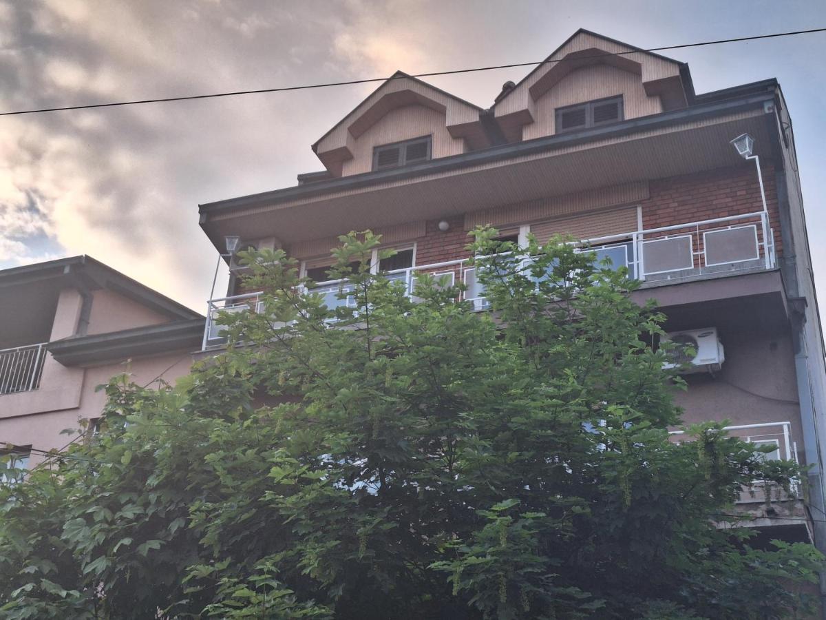 Danica I Vuk Apartment Ni Exterior foto